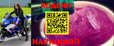 крисы Моздок