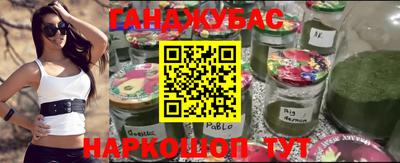 крисы Моздок