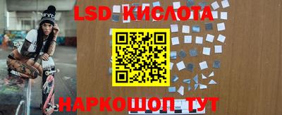 крисы Моздок