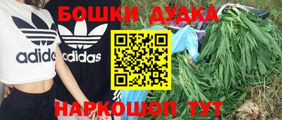jwh Можга