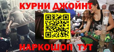 крисы Моздок