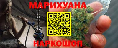 крисы Моздок