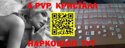 крисы Моздок