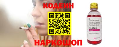 крисы Моздок