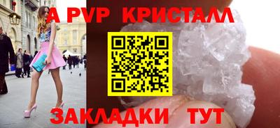 крисы Моздок