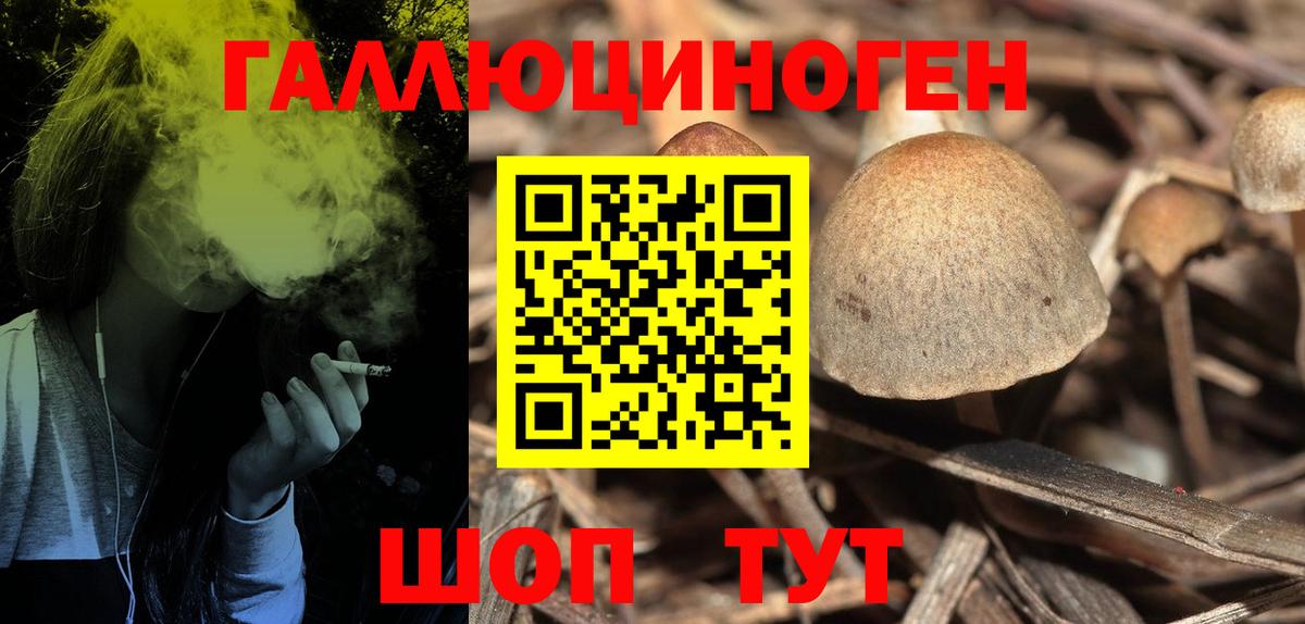 Галлюциногенные грибы Cubensis  Галлюциногенные грибы прущие грибы  Шебекино  Вход с VPN 