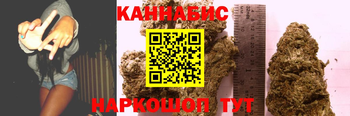 Бошки Шишки план Шебекино